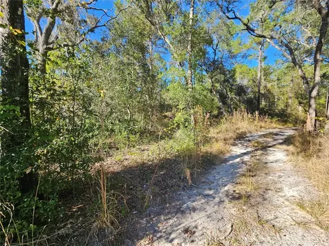 Berryhill Drive Webster FL 33597