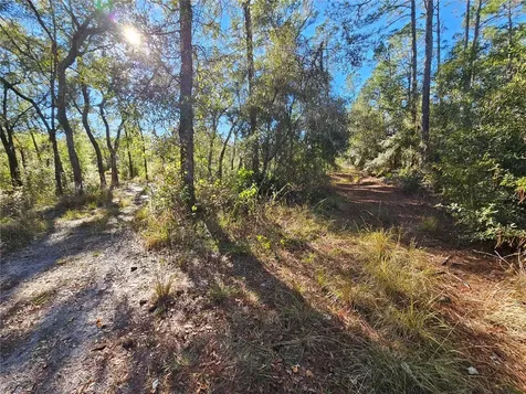 Berryhill Drive Webster FL 33597