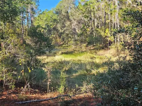 Berryhill Drive Webster FL 33597