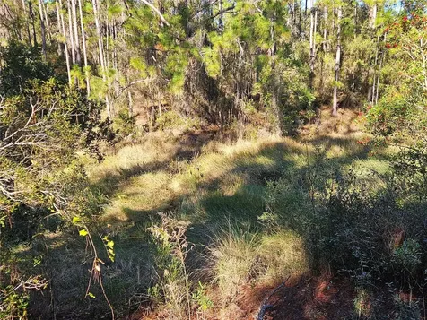Berryhill Drive Webster FL 33597
