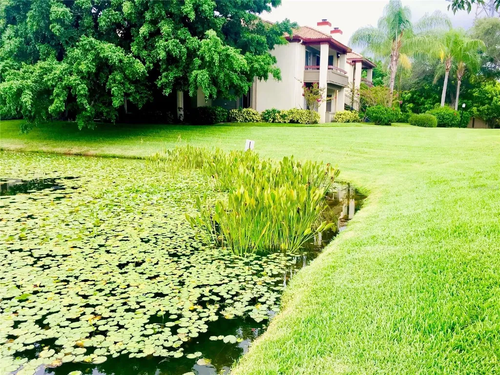 10263 Gandy Boulevard N St Petersburg FL 33702