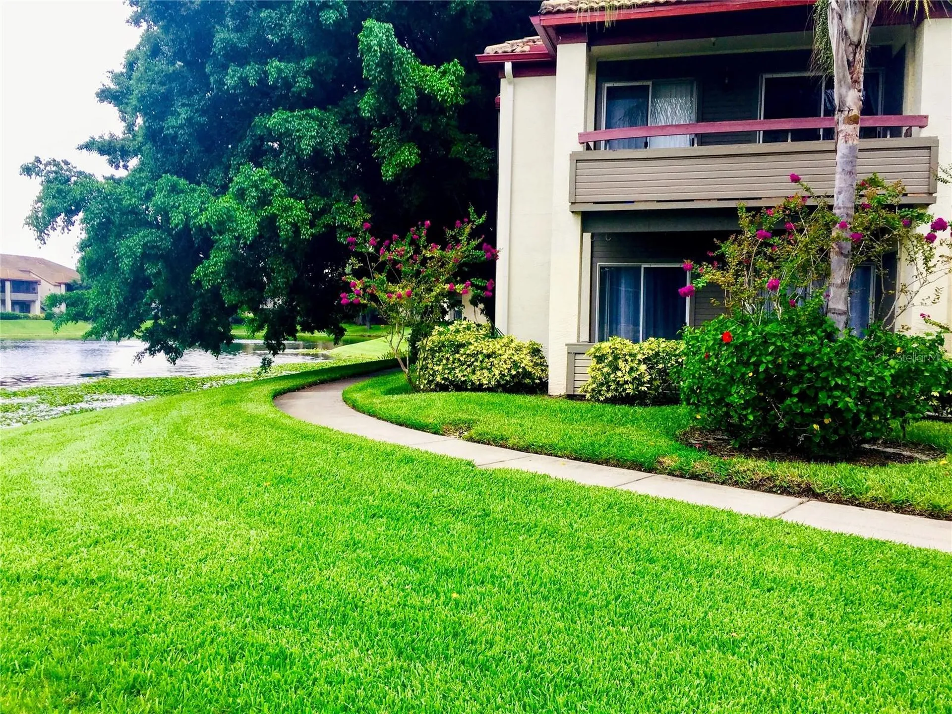 10263 Gandy Boulevard N St Petersburg FL 33702