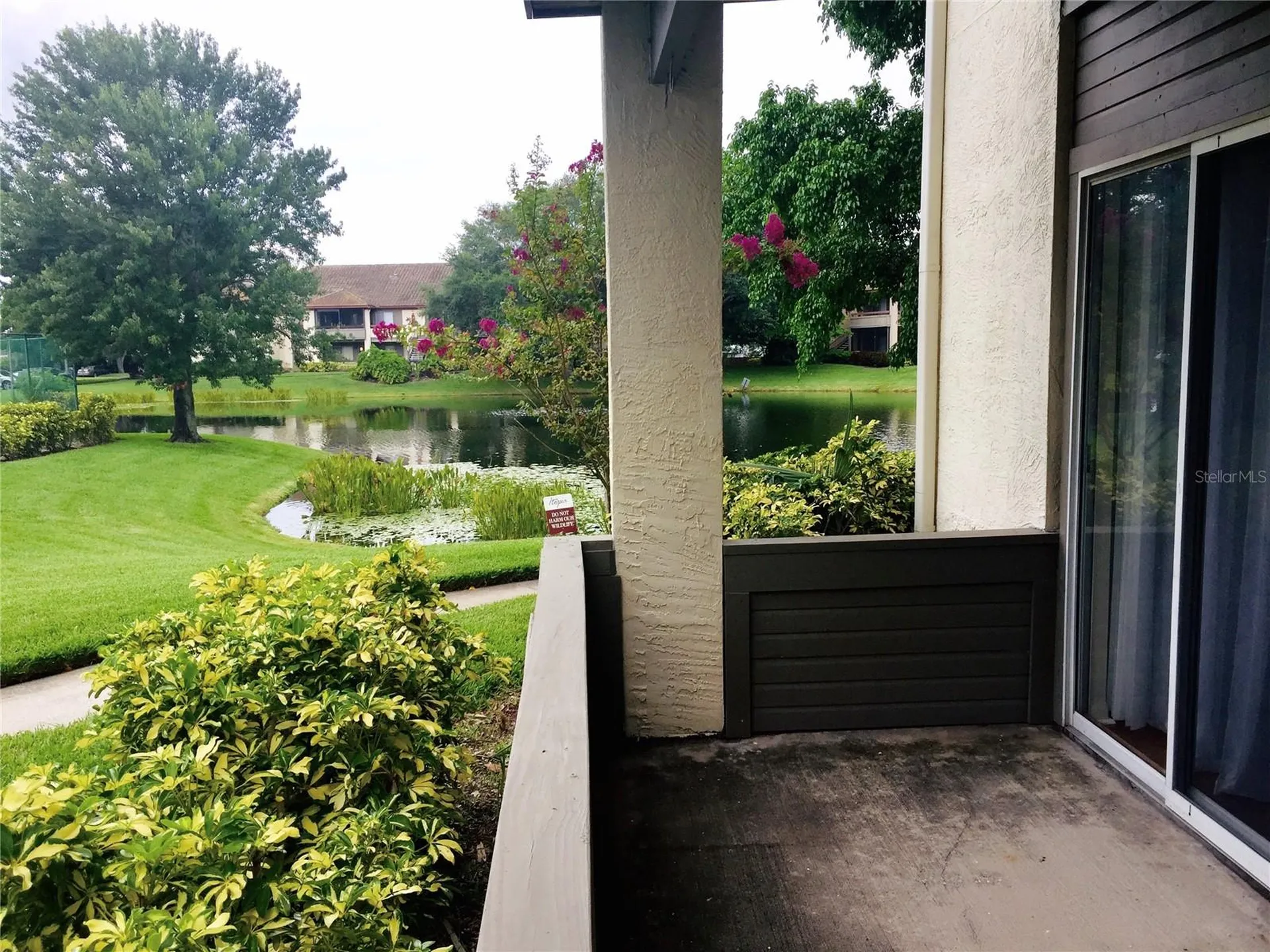 10263 Gandy Boulevard N St Petersburg FL 33702