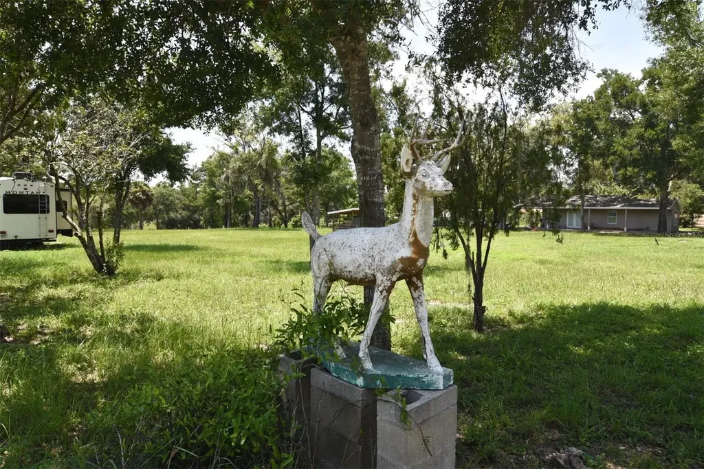 3100 Poverty Lane Apopka FL 32712