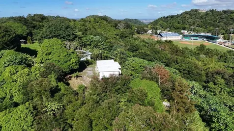 Pr 834 Mamey Guaynabo PR 00971