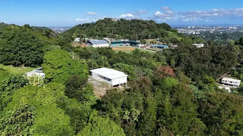 Pr 834 Mamey Guaynabo PR 00971