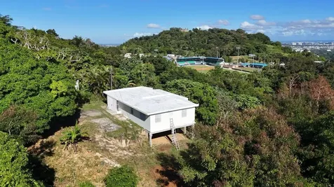 Pr 834 Mamey Guaynabo PR 00971