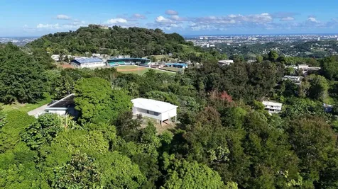Pr 834 Mamey Guaynabo PR 00971