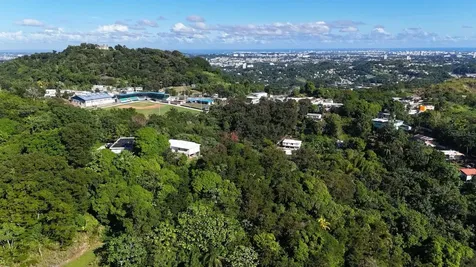 Pr 834 Mamey Guaynabo PR 00971