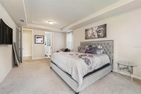 19206 Briarbrook Drive Tampa FL 33647