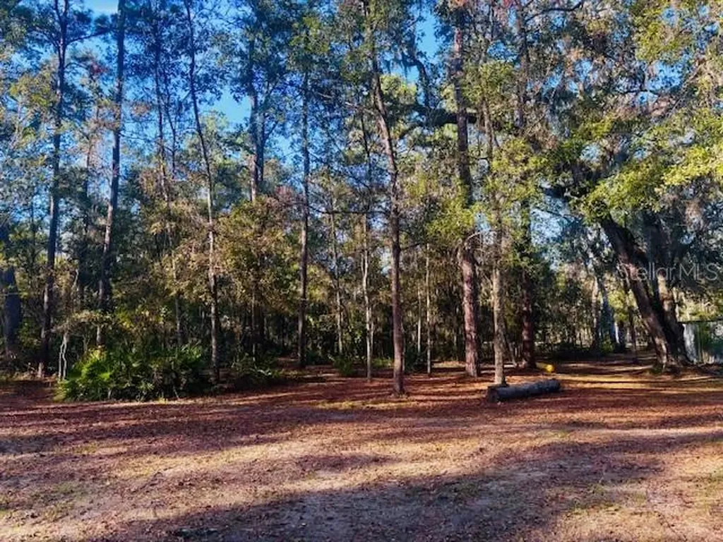 3351 Rackley Road Brooksville FL 34604