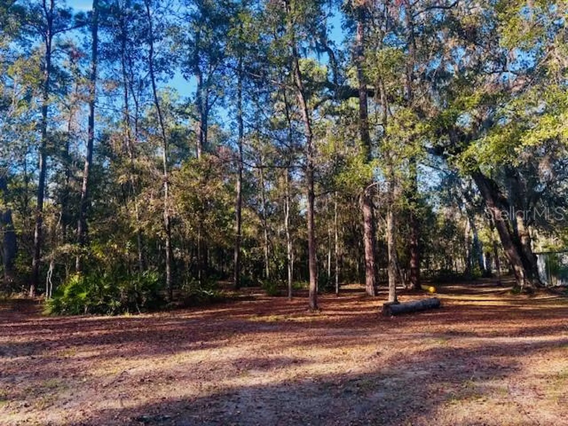 3351 Rackley Road Brooksville FL 34604
