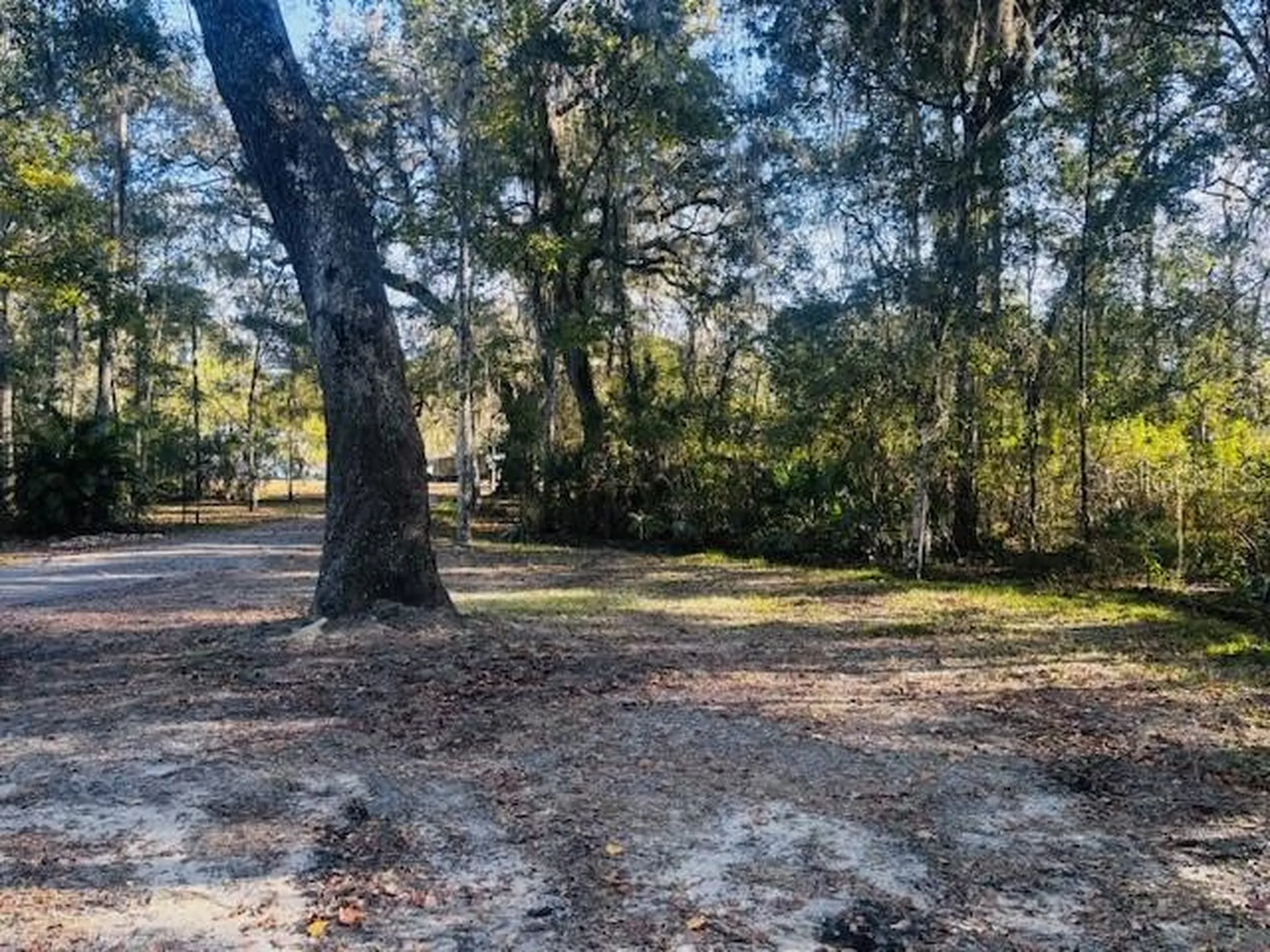 3351 Rackley Road Brooksville FL 34604