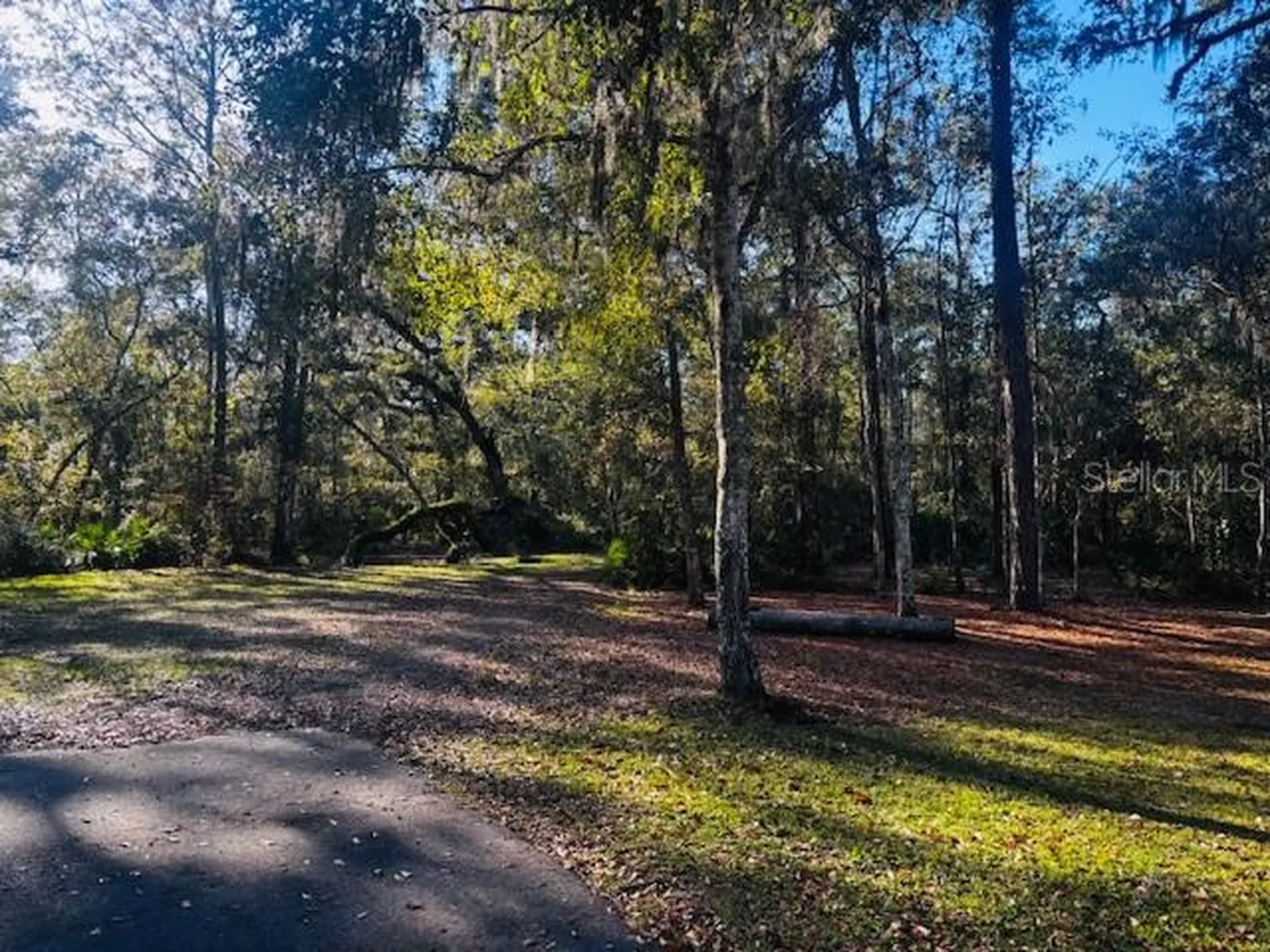 3351 Rackley Road Brooksville FL 34604