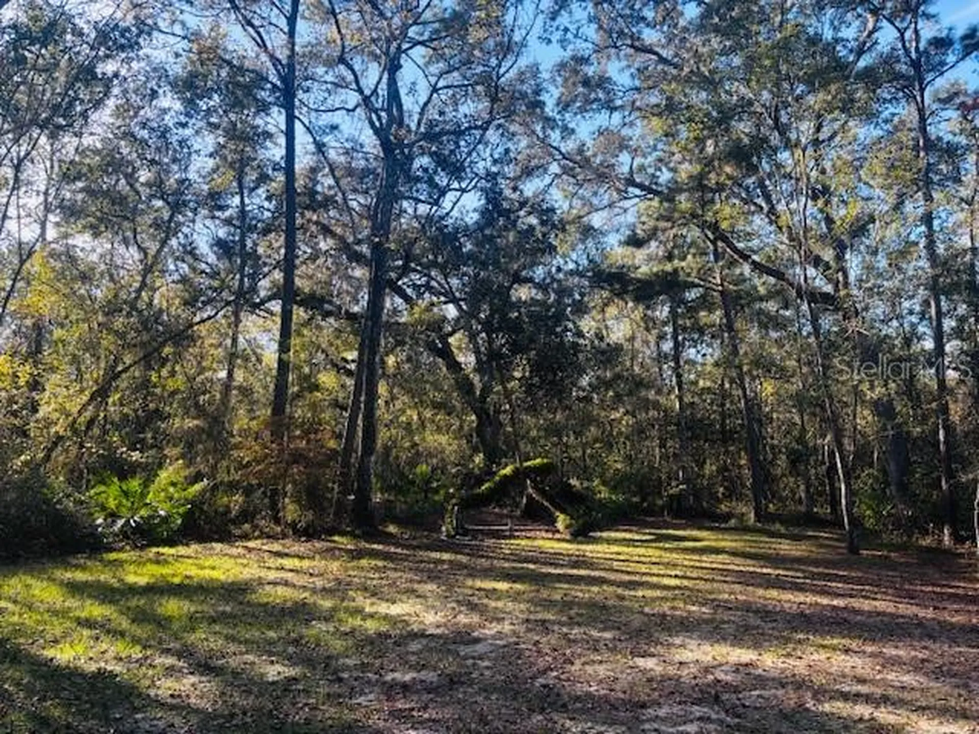 3351 Rackley Road Brooksville FL 34604