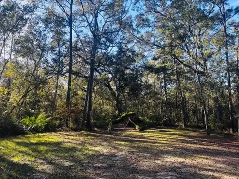 3351 Rackley Road Brooksville FL 34604