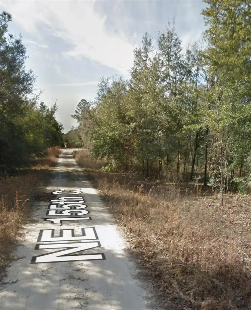 NE 155th Court Williston FL 32696
