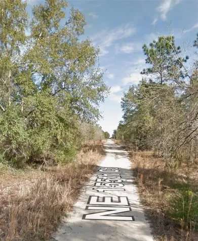 NE 155th Court Williston FL 32696