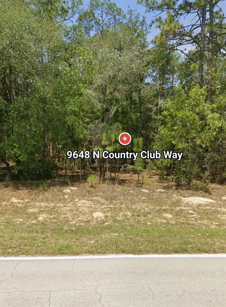 9648 N Country Club Way Citrus Springs FL 34434