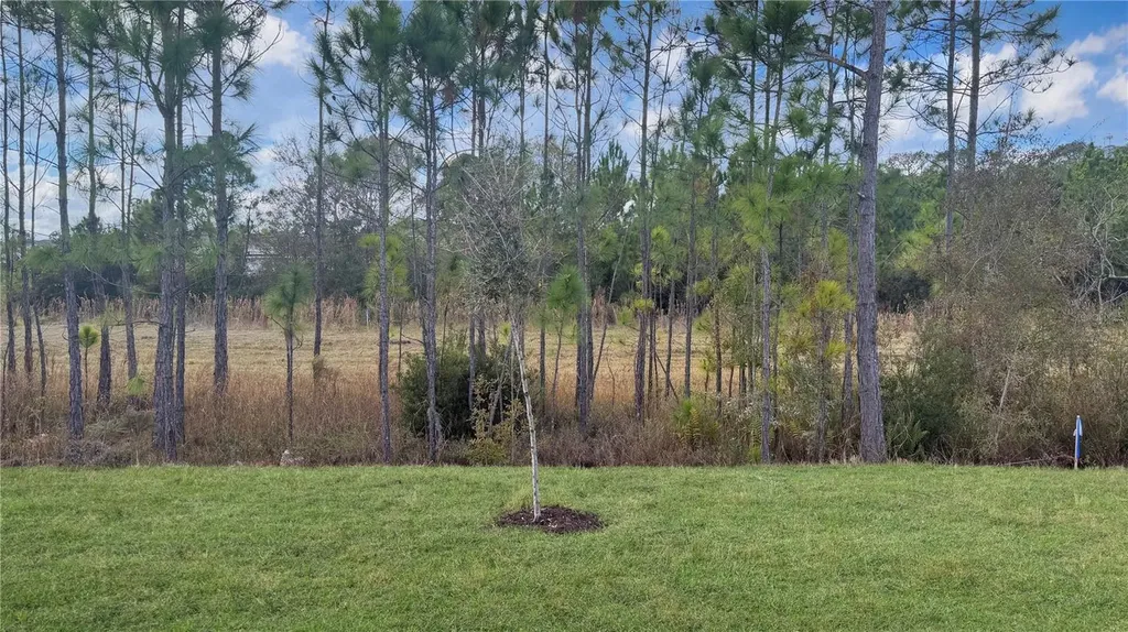 7520 Bent Tree Loop St Cloud FL 34773