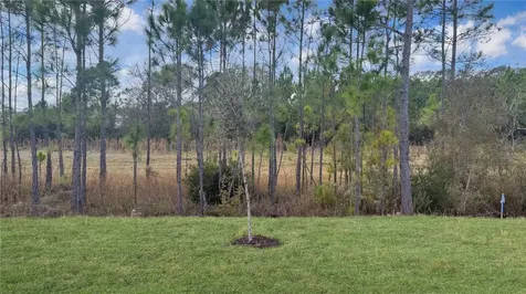 7520 Bent Tree Loop St Cloud FL 34773