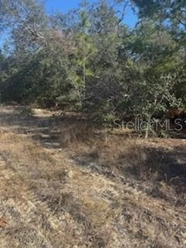 6491 N Killinger Terrace Citrus Springs FL 34433