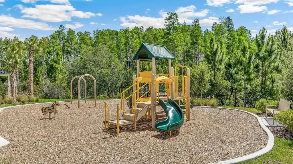 2476 Riversong Lodge Lane Wesley Chapel FL 33543