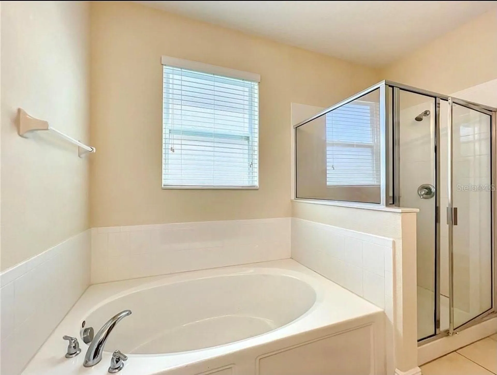 14517 Black Lake Preserve Street Winter Garden FL 34787