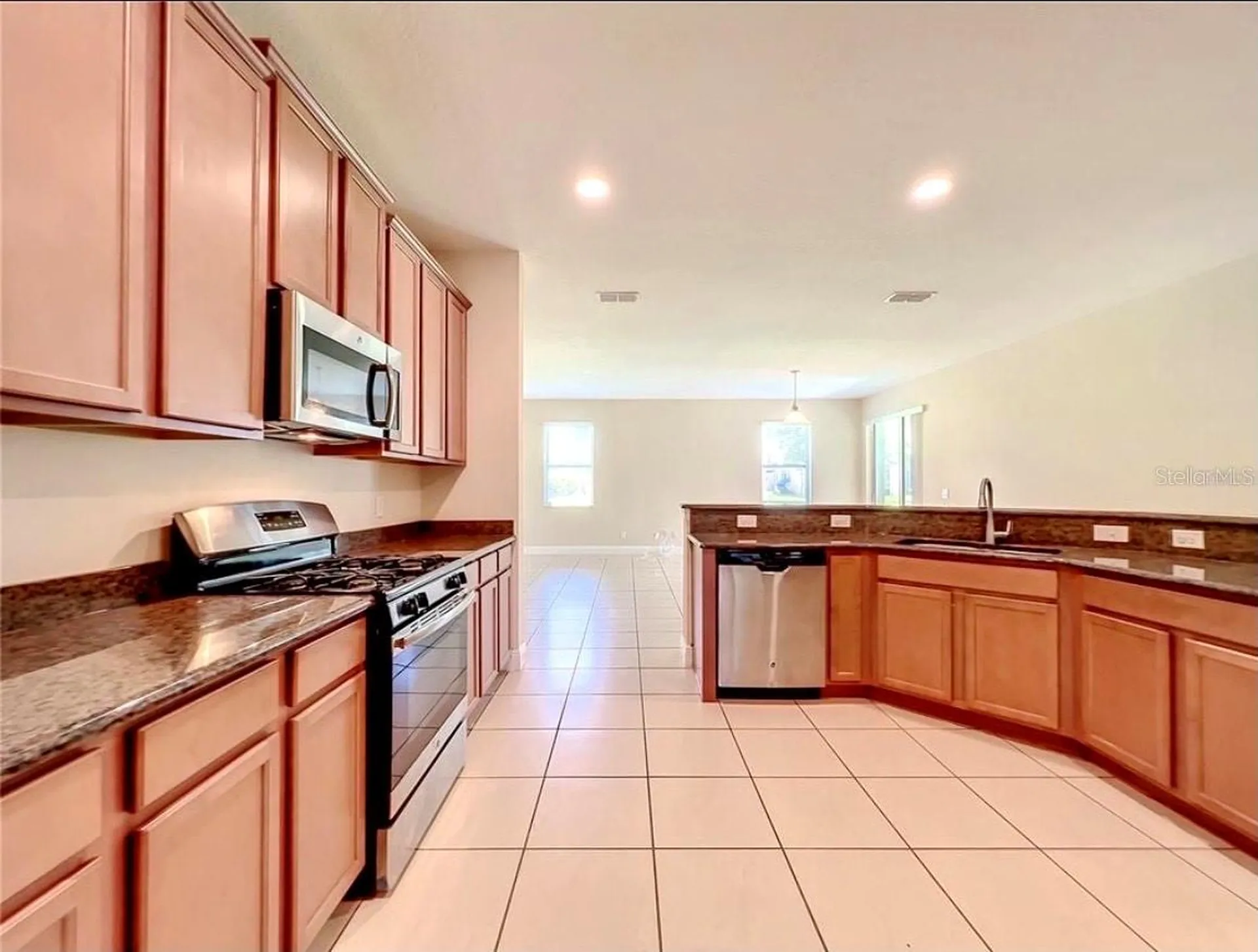 14517 Black Lake Preserve Street Winter Garden FL 34787