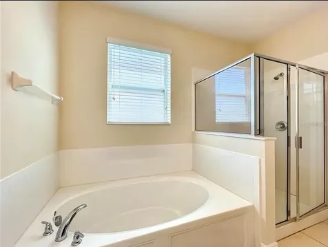 14517 Black Lake Preserve Street Winter Garden FL 34787