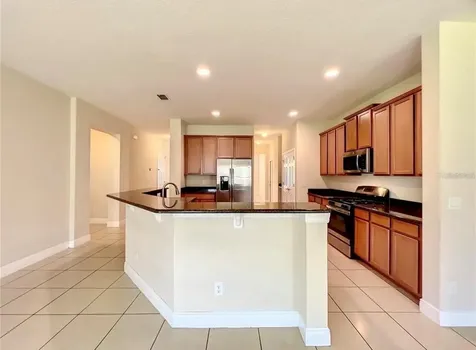 14517 Black Lake Preserve Street Winter Garden FL 34787