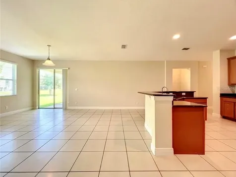 14517 Black Lake Preserve Street Winter Garden FL 34787