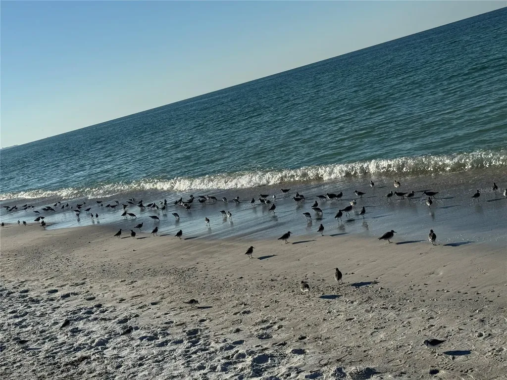 517 42nd Street Holmes Beach FL 34217
