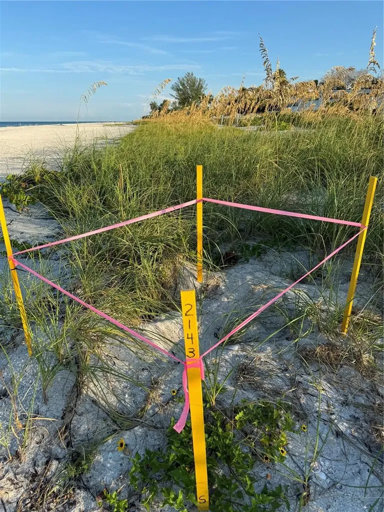 517 42nd Street Holmes Beach FL 34217