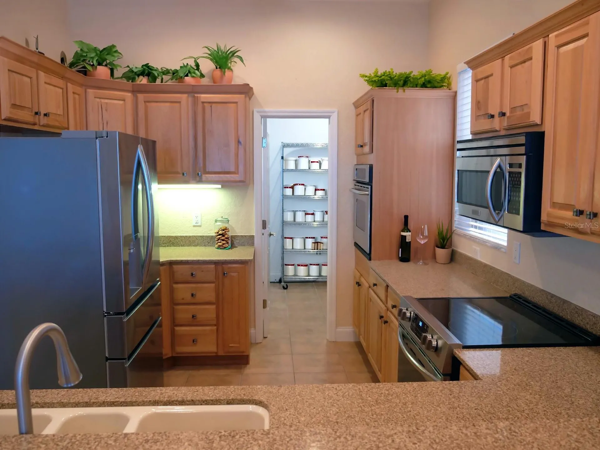 6249 Lonnie Lee Lane Hudson FL 34667