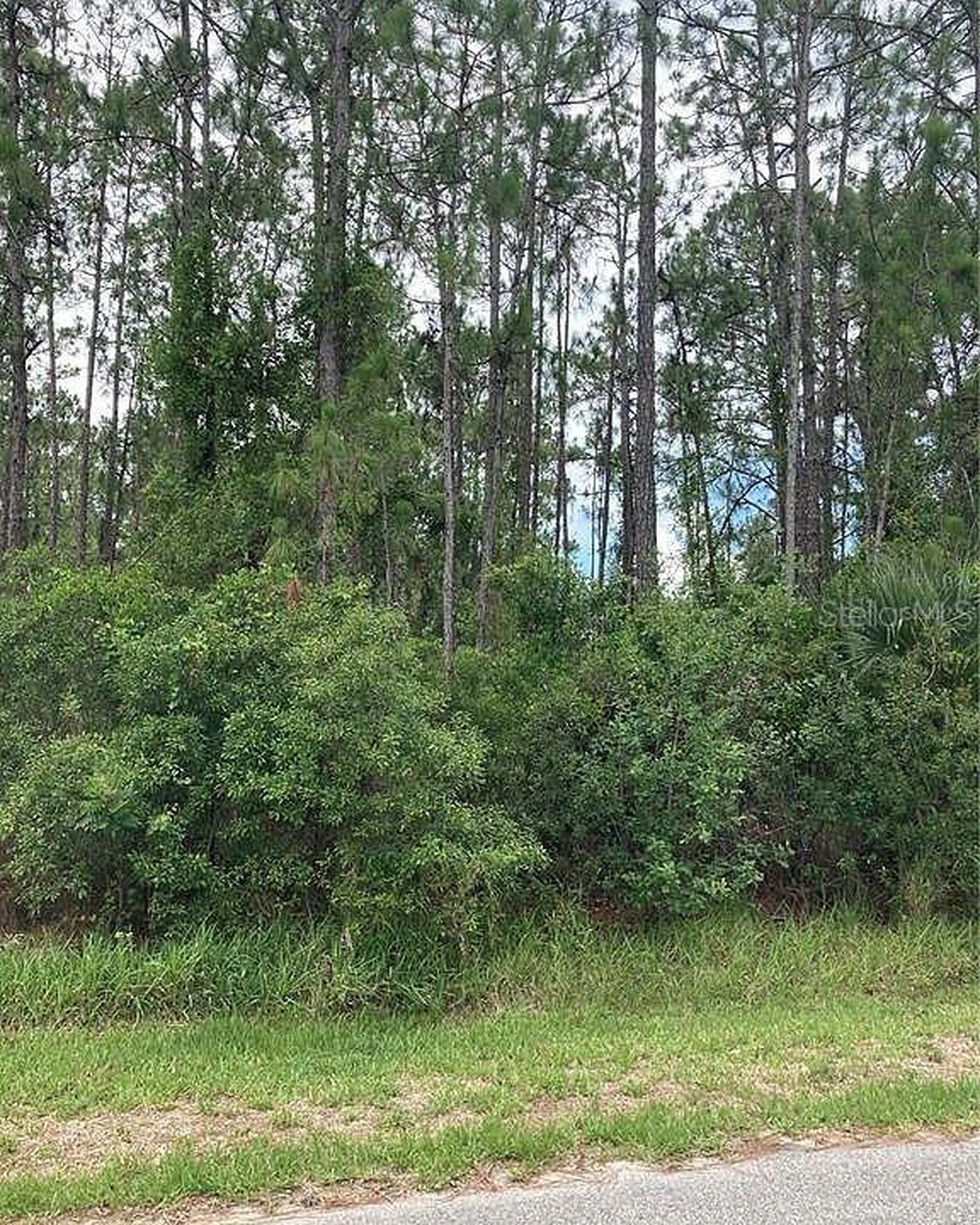 Bristol Avenue North Port FL 34291