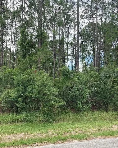 Bristol Avenue North Port FL 34291