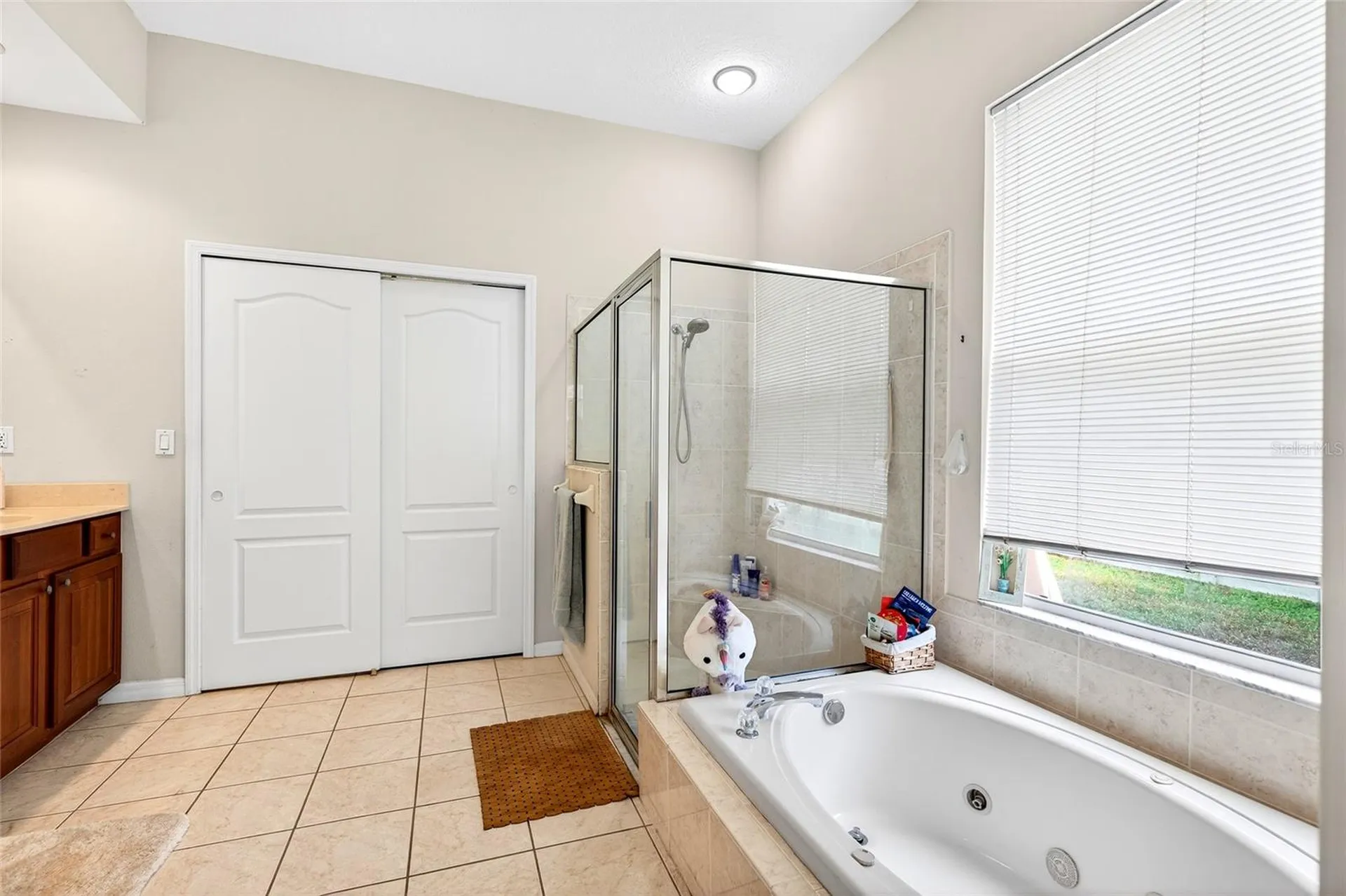 3041 High Meadow Way Land O Lakes FL 34639
