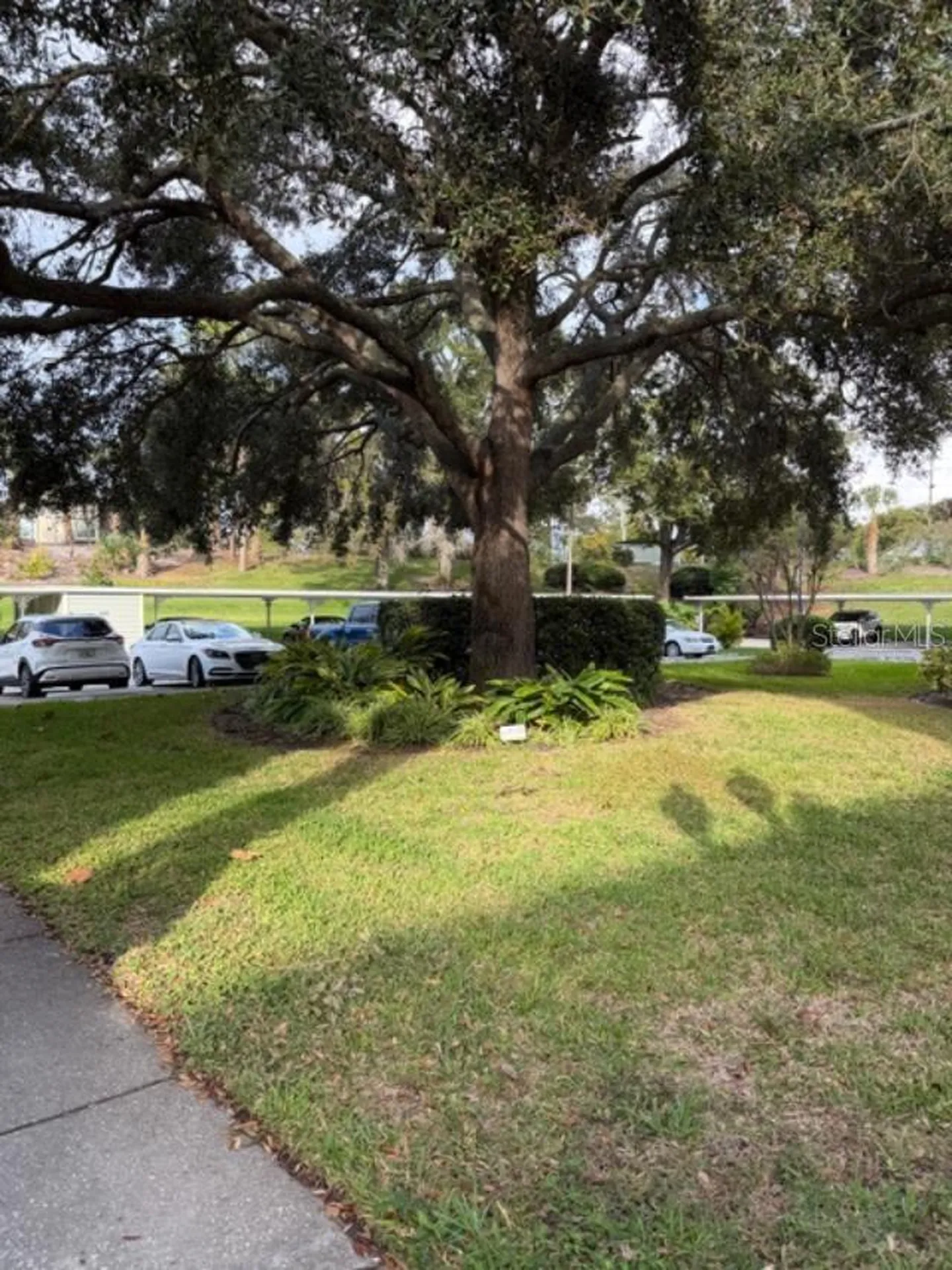 330 Promenade Drive Dunedin FL 34698