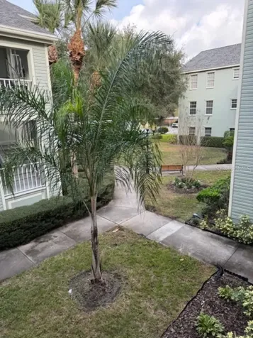 330 Promenade Drive Dunedin FL 34698