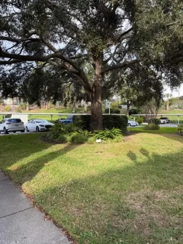 330 Promenade Drive Dunedin FL 34698