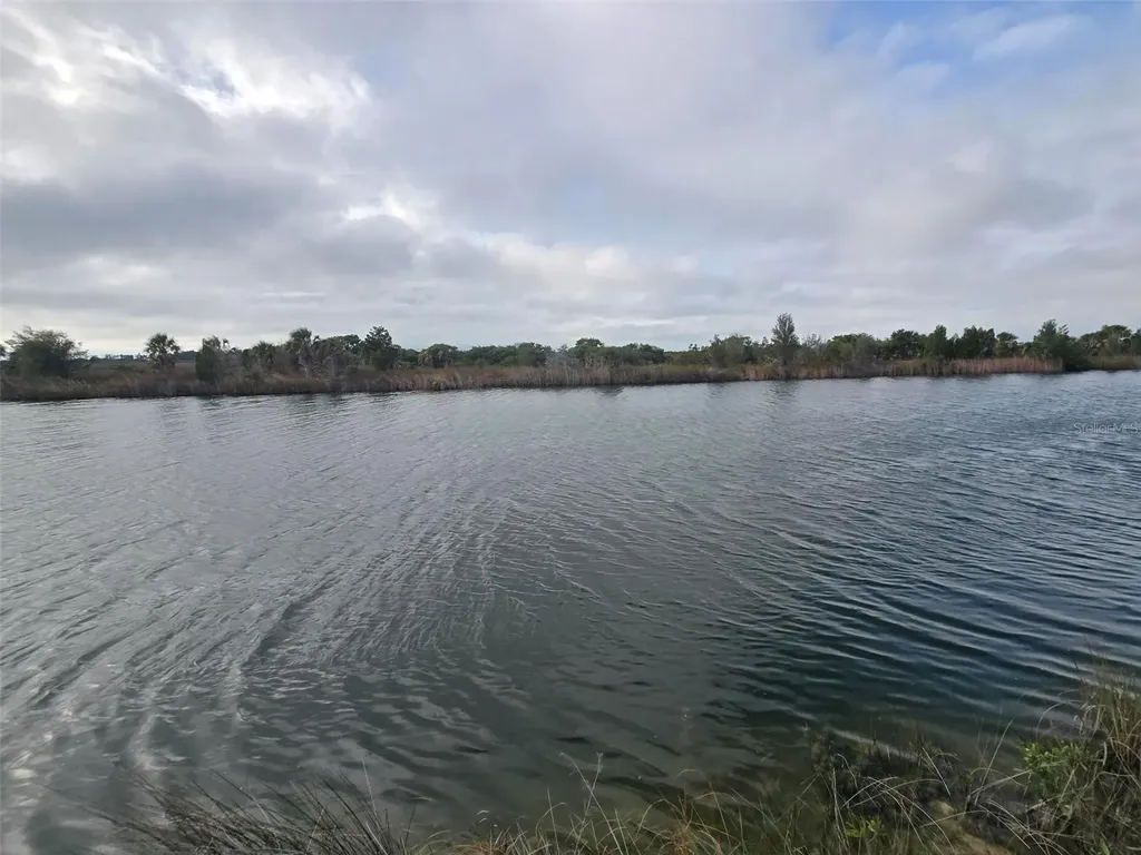 Lugustrum Drive Hernando Beach FL 34607