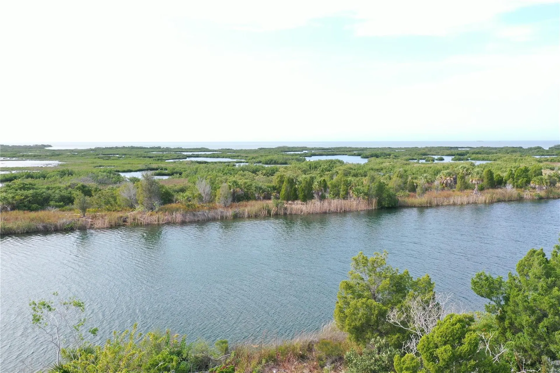Lugustrum Drive Hernando Beach FL 34607