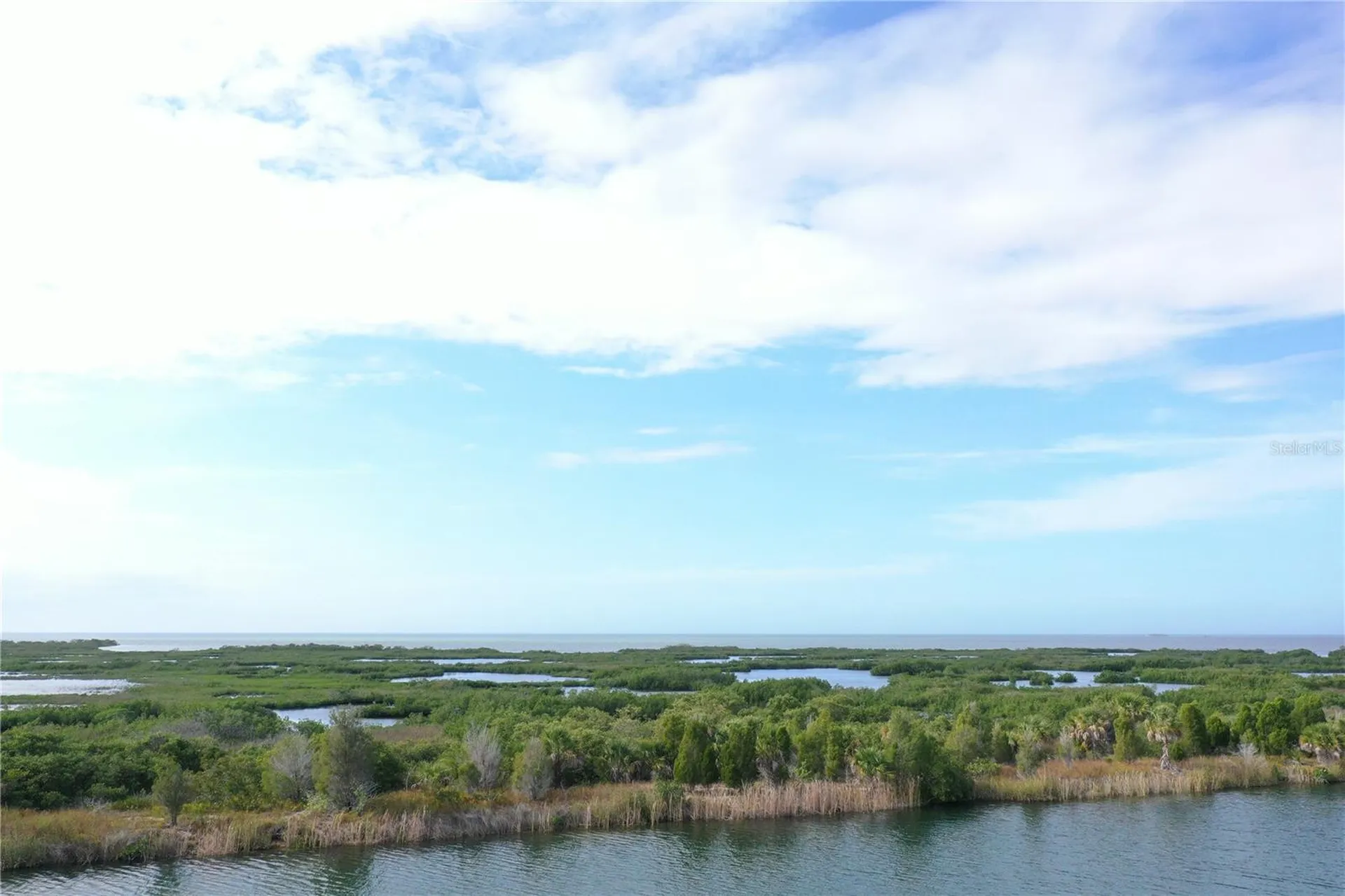 Lugustrum Drive Hernando Beach FL 34607