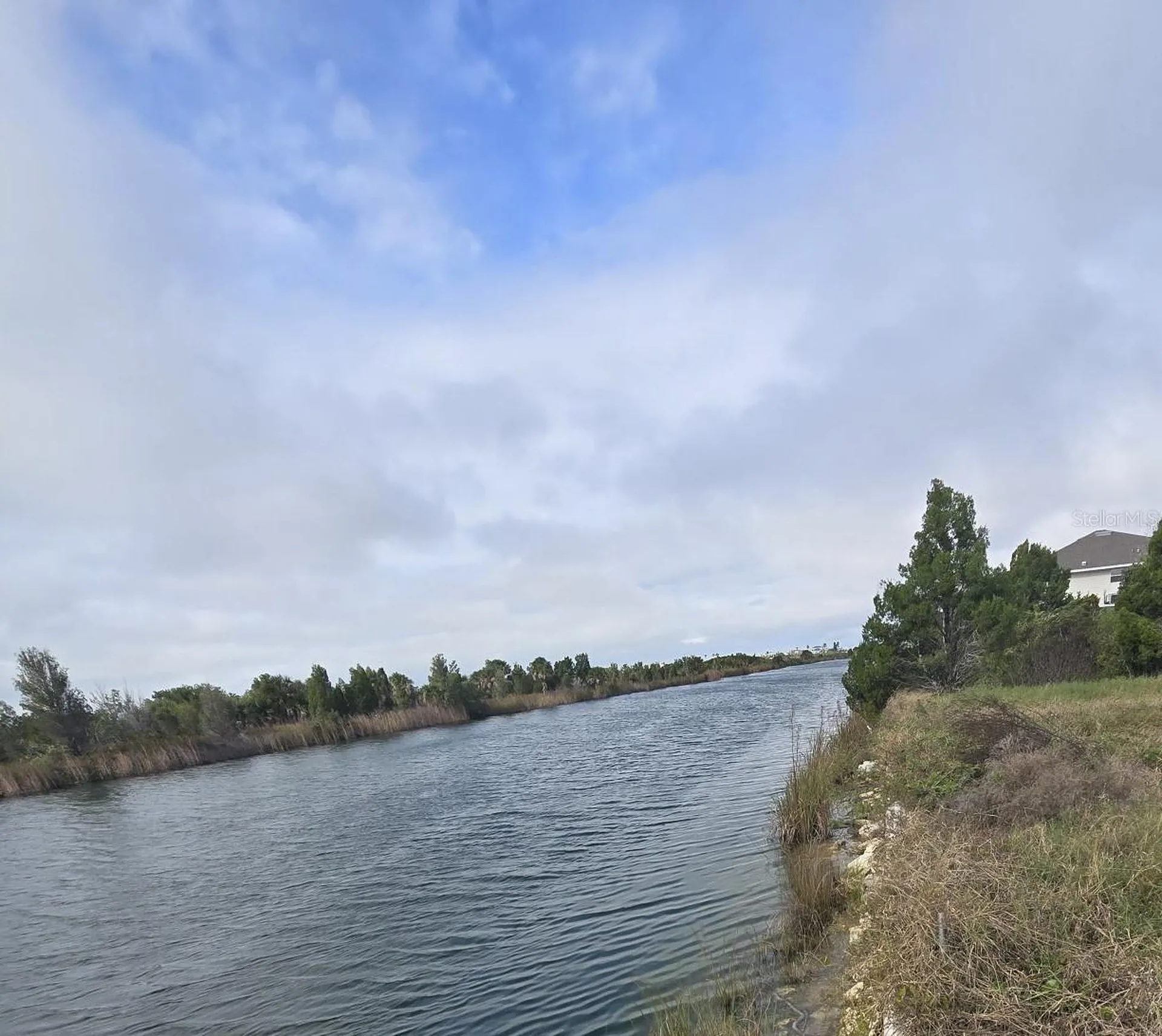 Lugustrum Drive Hernando Beach FL 34607