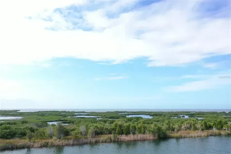 Lugustrum Drive Hernando Beach FL 34607