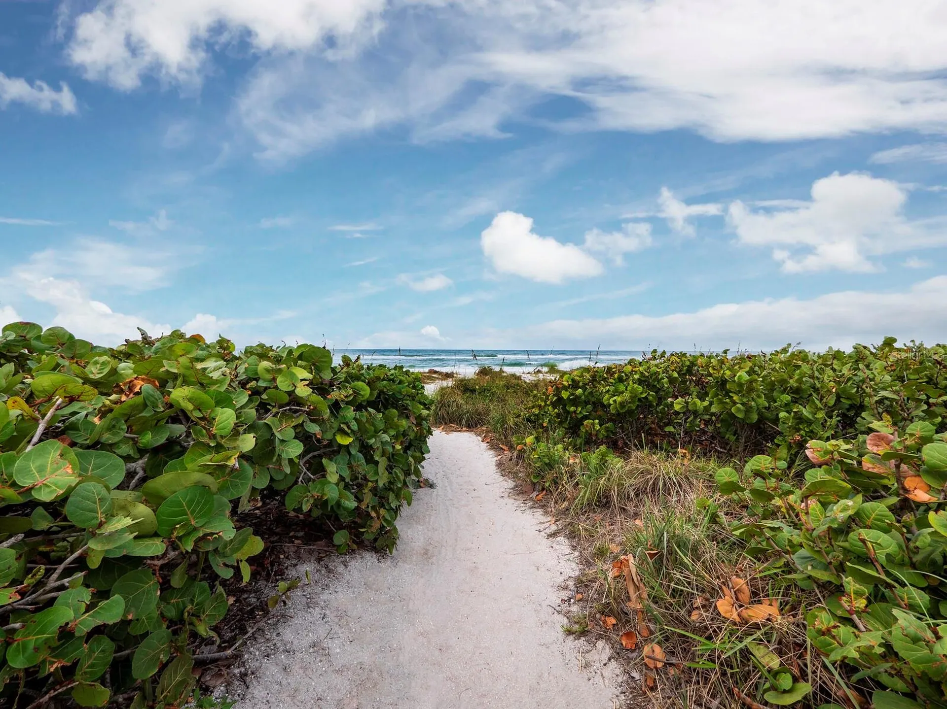 836 Evergreen Way Longboat Key FL 34228