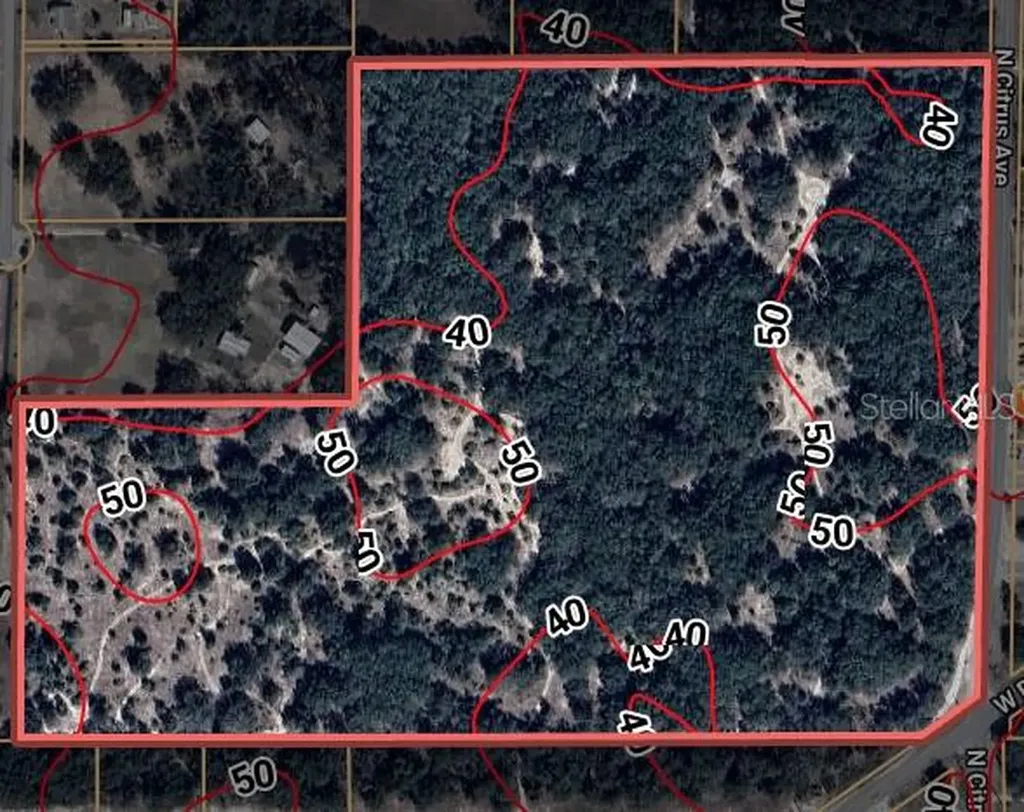 8144 W Alvany Court Crystal River FL 34428