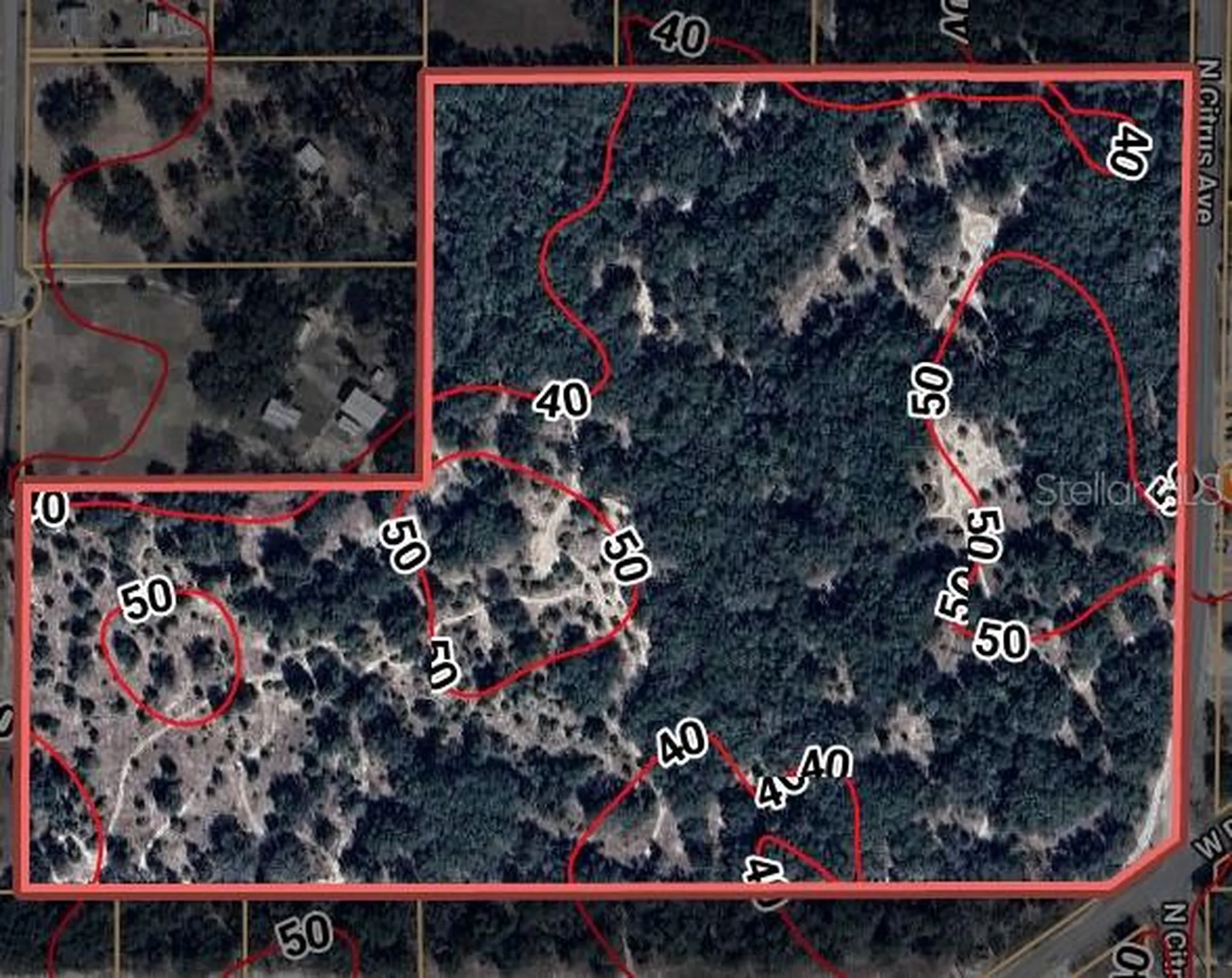 8144 W Alvany Court Crystal River FL 34428