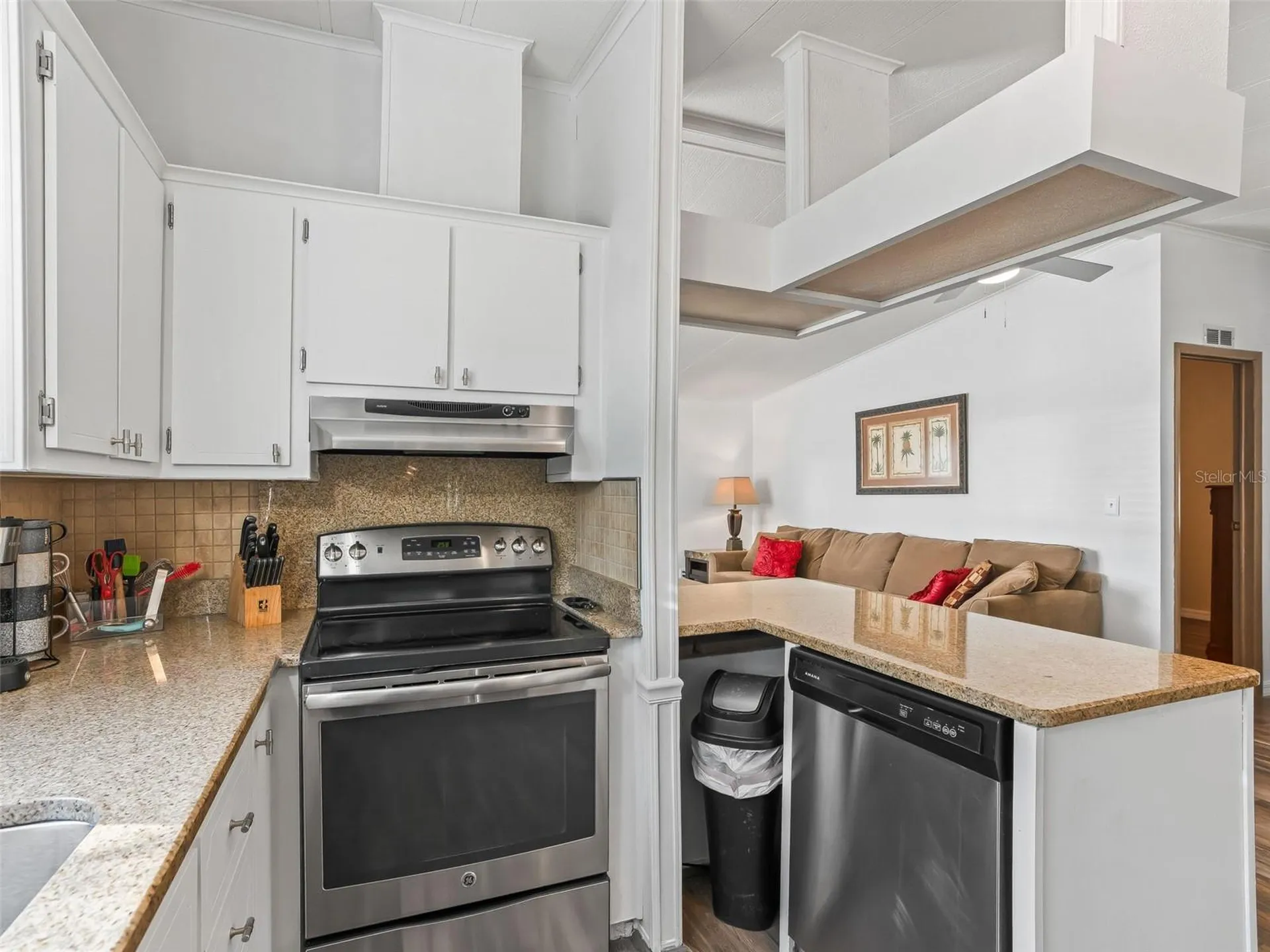 1619 W Schwartz Boulevard The Villages FL 32159